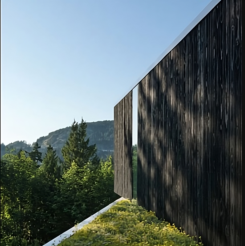 Kebony wood material